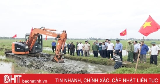 Can Lộc phấn đấu hoàn thành kế hoạch tích tụ ruộng đất năm 2024