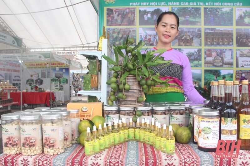 Ngày hội quảng bá nông sản an toàn