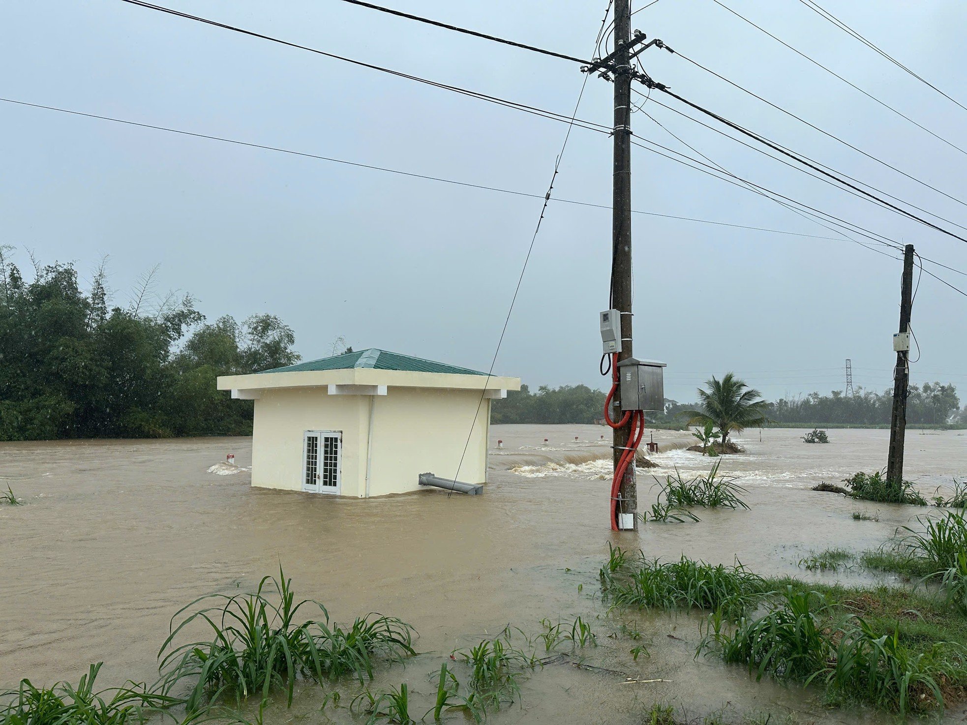 Las inundaciones aumentan rápidamente, decenas de casas en Quang Ngai sumergidas en el agua foto 11