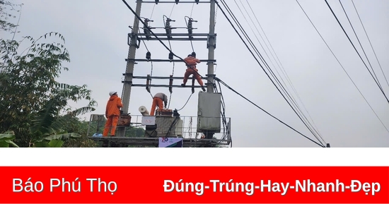 การไฟฟ้า Thanh Ba ดำเนินการตามเดือนขอบคุณลูกค้าในปี 2024