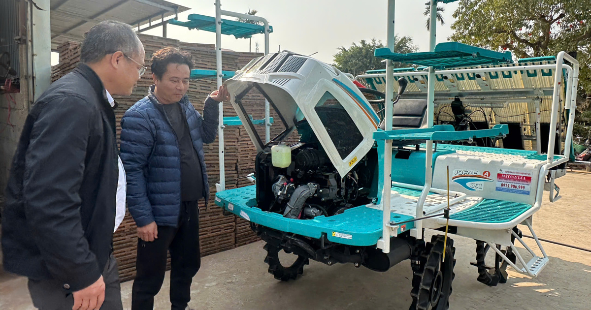 El distrito de Phu Xuyen es líder en la aplicación del enchapado en bandejas y la plantación a máquina.