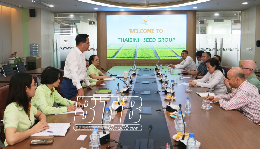 เยี่ยมชมและเรียนรู้เกี่ยวกับนวัตกรรมและความคิดสร้างสรรค์ด้านการเกษตรที่ ThaiBinh Seed