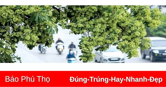 Chạm Đông