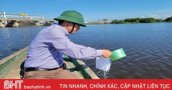 Khi nào có kết quả về nguyên nhân cá chết trên sông Nghèn?