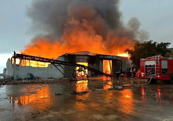 Brandort der Fischmehlfabrik in Quang Binh. (Foto: BT)