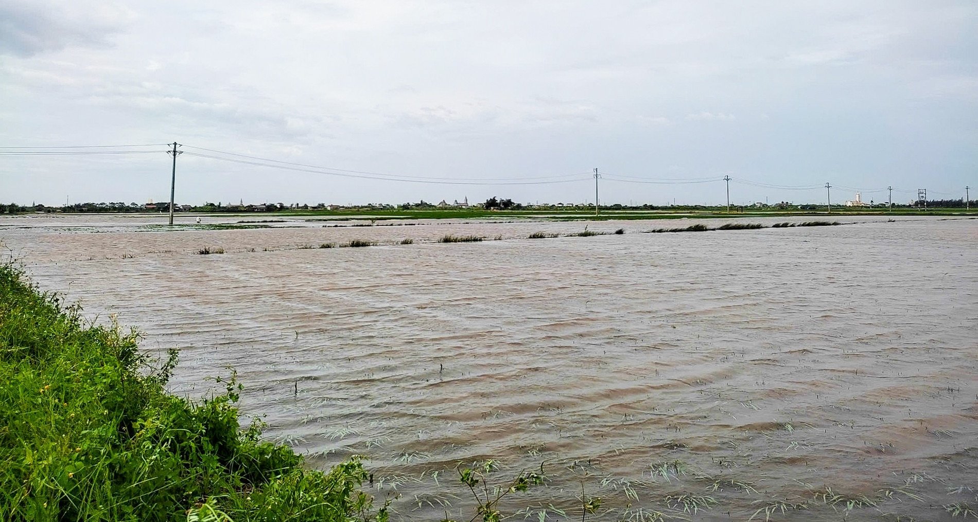 Rice, crops, and aquatic products suffered heavy damage in the Northeastern provinces.