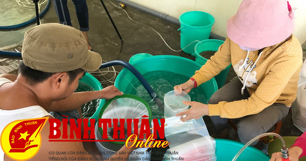 Developing geographical indications for Binh Thuan shrimp