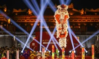 Feast your eyes on the 2022 Hue Lion Dance Festival