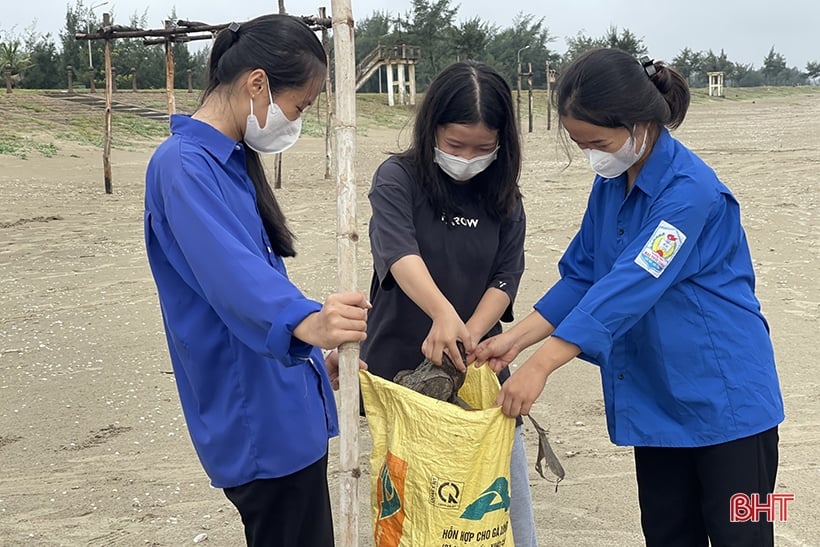 สมาชิกสหภาพเยาวชนห่าติ๋ญกว่า 4,000 คนตอบรับกิจกรรมวันอาทิตย์สีเขียวครั้งที่ 4