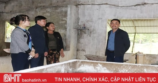 Không để dịch tả lợn châu Phi lan rộng trên địa bàn Cẩm Xuyên