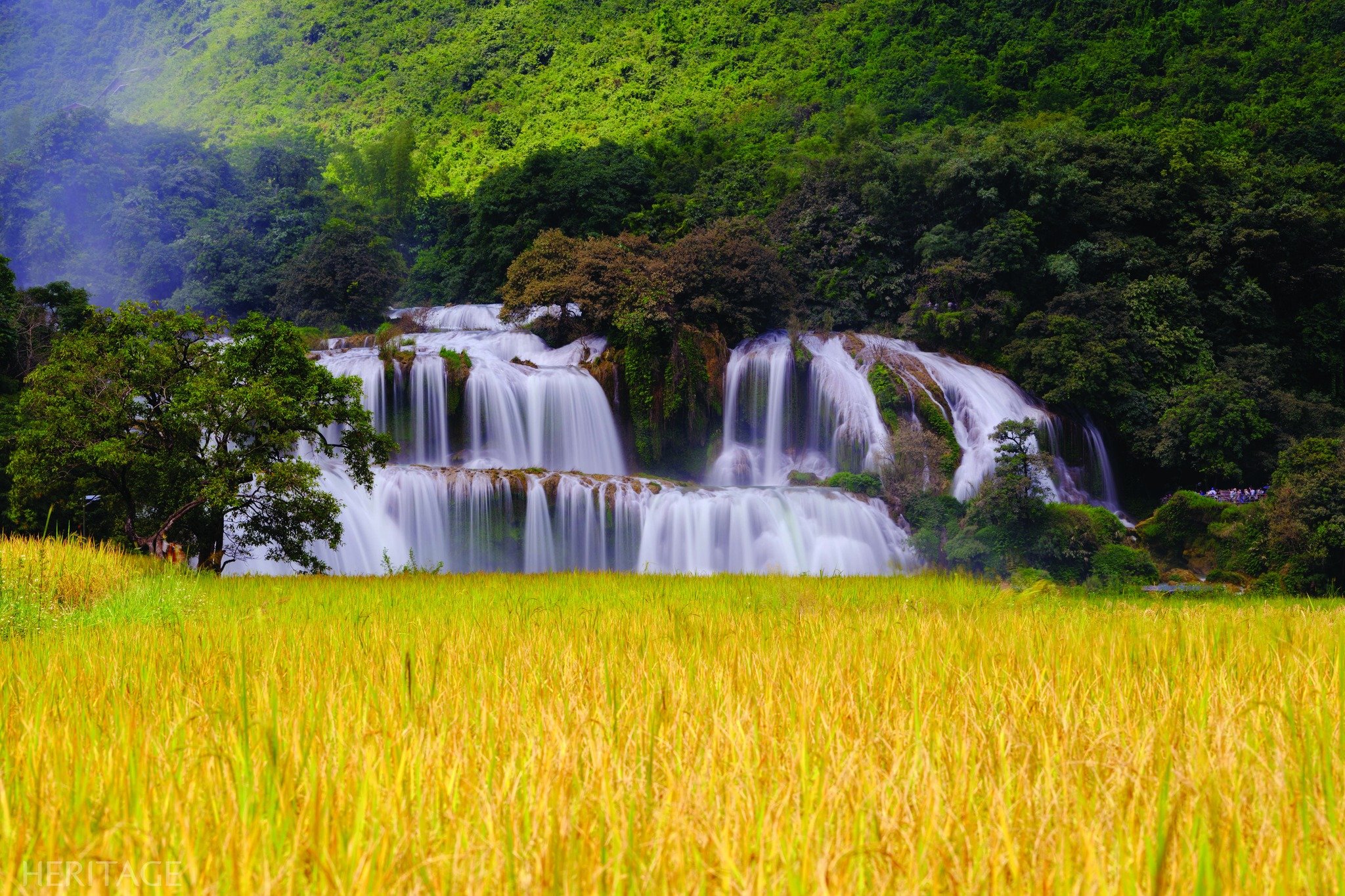 Có thể là hình ảnh về thiên nhiên, thác nước và cỏ