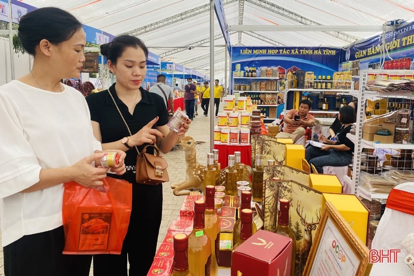 More than 50 Ha Tinh products participate in the Northern trade promotion fair