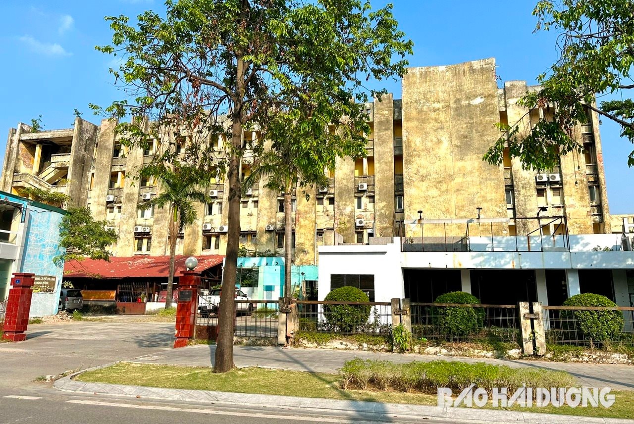 rose-hotel.jpg