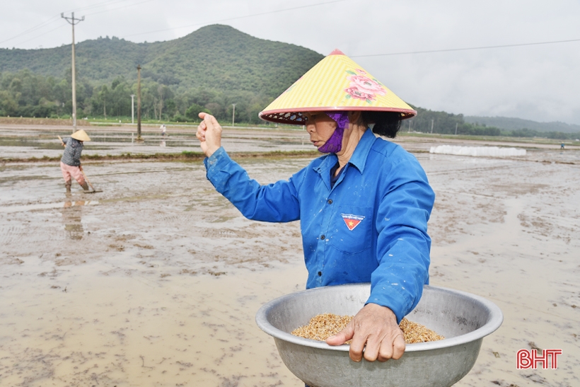 Sắc xuân trên quê biển Lộc Hà