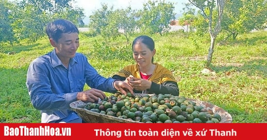 Thúc đẩy tinh thần khởi nghiệp, lập nghiệp