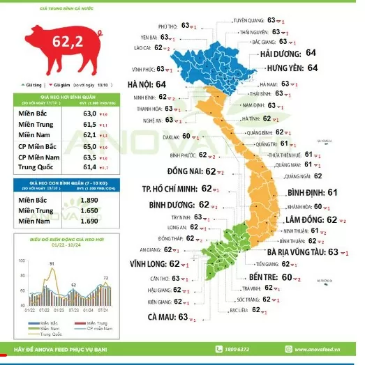 Giá heo hơi hôm nay 22/10/2024: