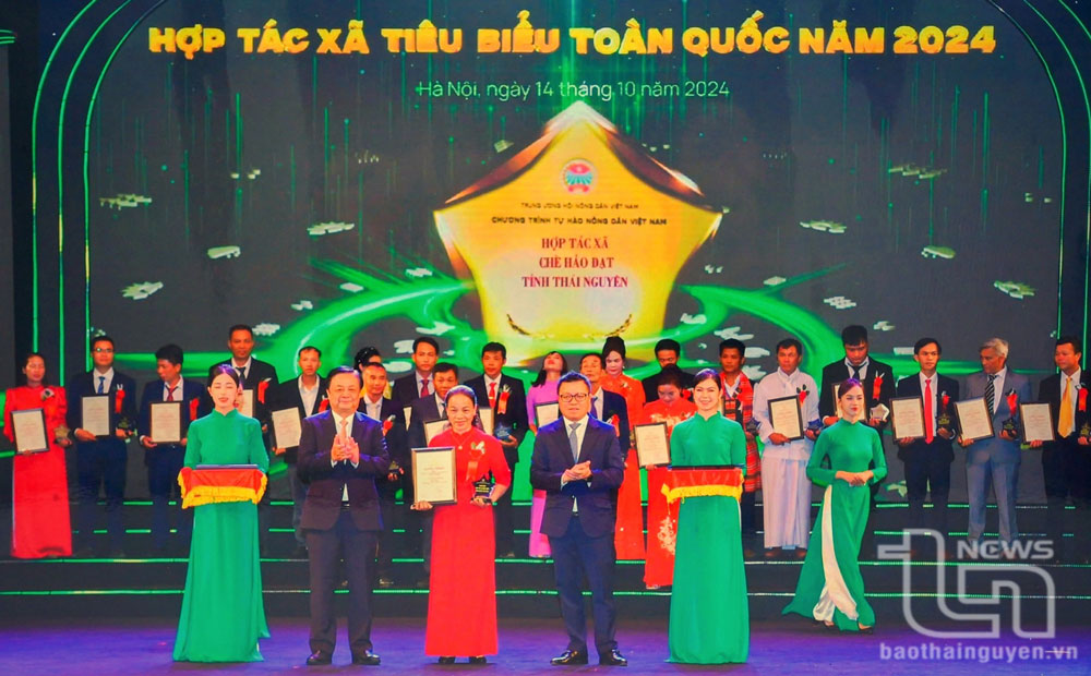 Hợp tác xã chè Hảo Đạt được vinh danh là hợp tác xã tiêu biểu toàn quốc năm 2024.