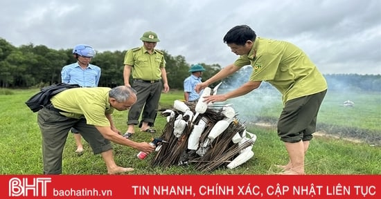 Lực lượng chức năng tiêu hủy nhiều dụng cụ bẫy chim trời