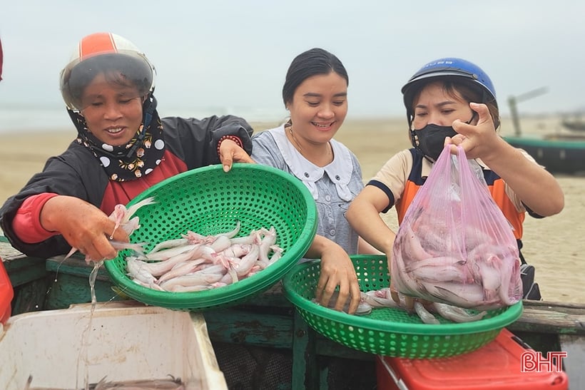 Las gachas de pescado Nghi Xuan son frescas y deliciosas, a buen precio.