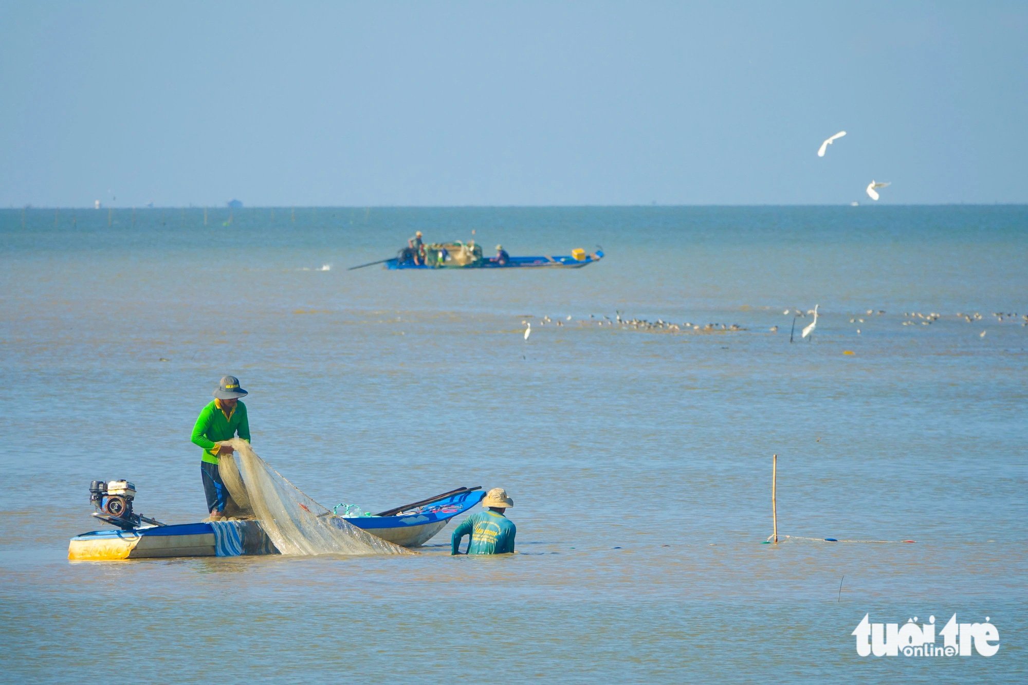 Săn cá, tép vùng biển bồi Kiên Giang để đón Tết - Ảnh 6.