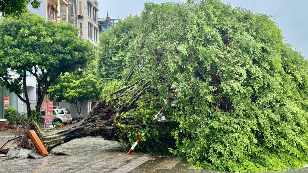 Hai Duong temporarily closes some sections and routes due to many broken and fallen trees.