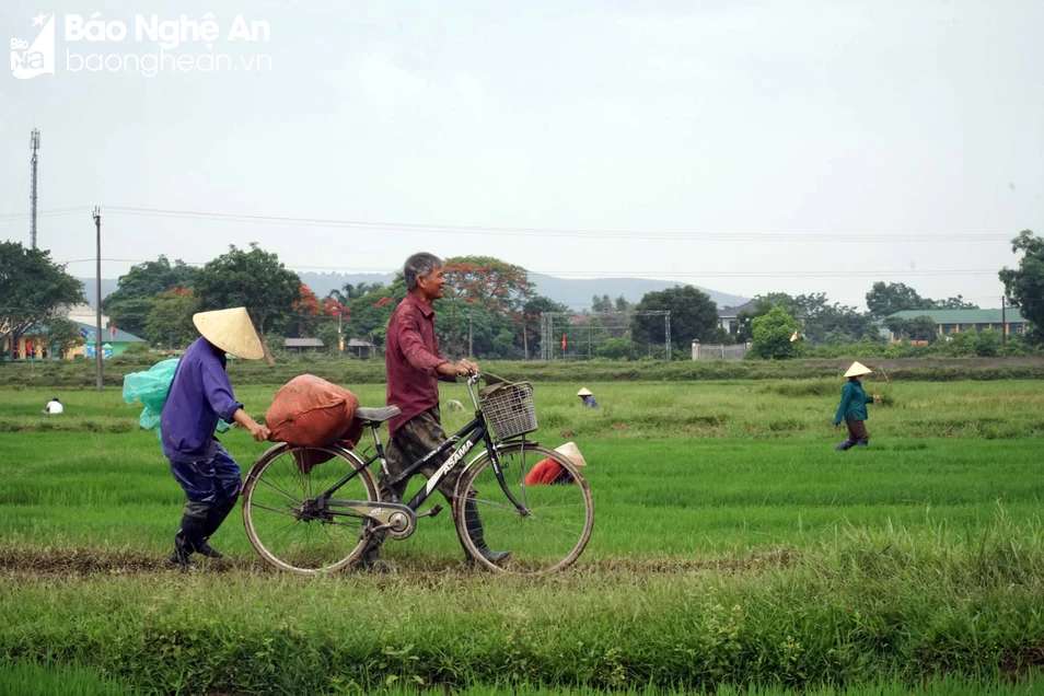 bna_ kk sx. Ảnh- Phú Hương.jpg