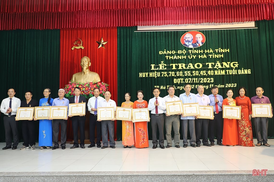 Provincial leaders award Party badges to party members in Ha Tinh city