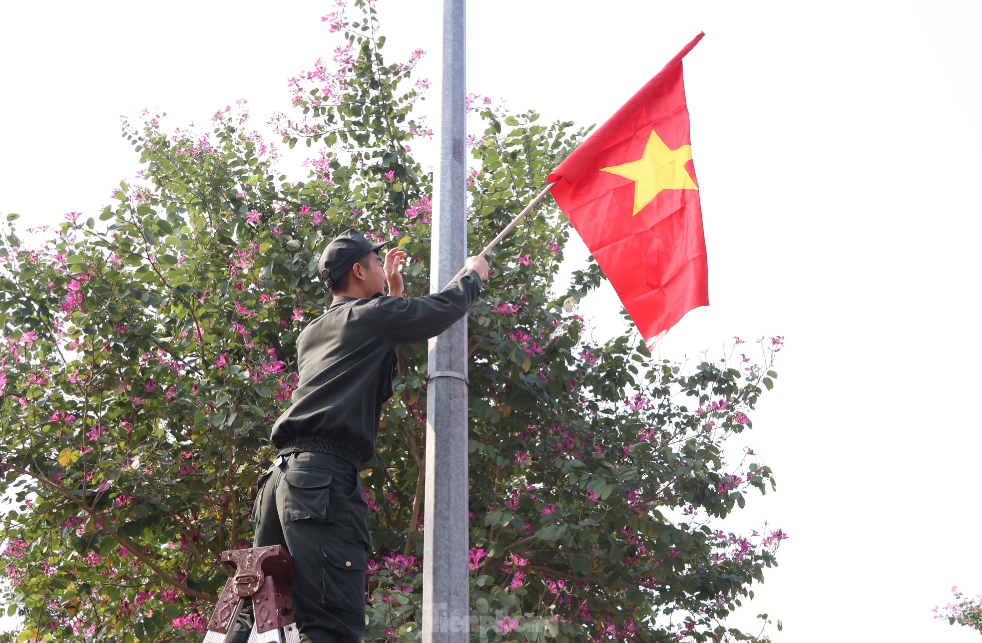 Junge mobile Polizisten haben in Onkel Hos Heimatland eine Linie mit der Nationalflagge aufgestellt. Foto 16