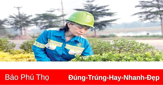 Những “bông hoa” làm đẹp phố phường