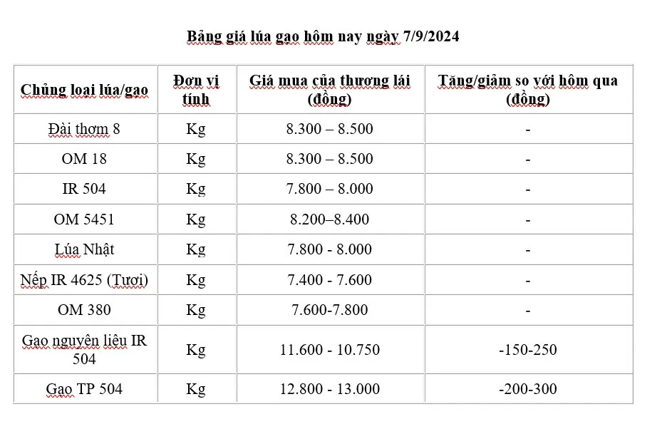 Giá lúa gạo hôm nay 7/9/2024: