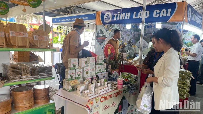 Inauguración de la Semana de Turismo de Binh Thuan 2024 (foto 5)