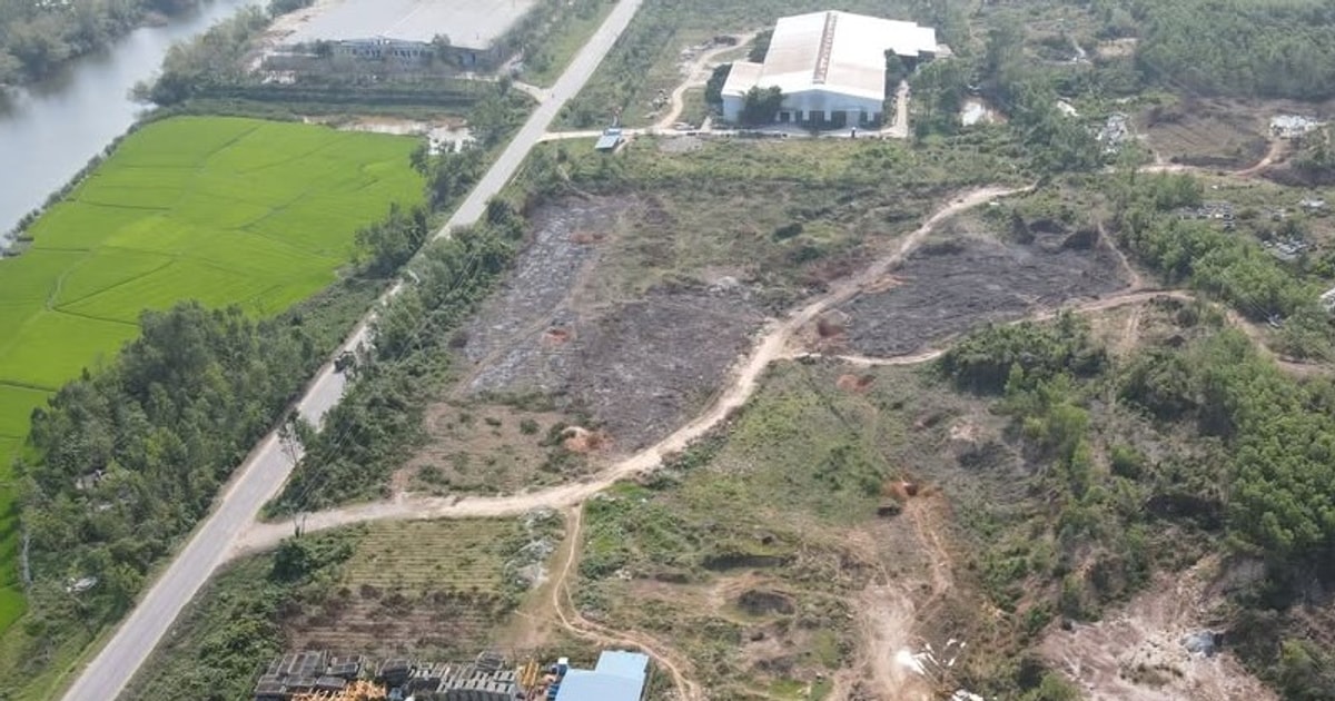 Dai Loc ajuste localement la planification détaillée du 1/500e pôle industriel de Dai Nghia 1