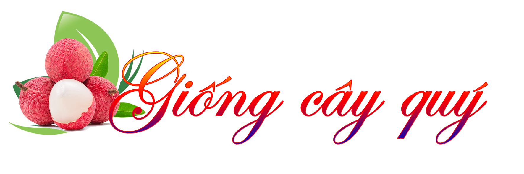 tit1.png