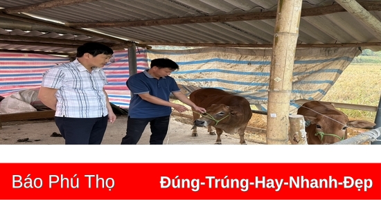 Hỗ trợ sinh kế giúp người dân thoát nghèo