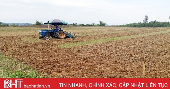 Hương Khê phấn đấu sản xuất 2.760 ha cây vụ đông