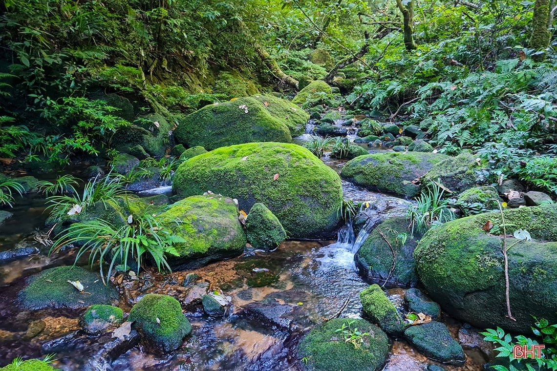 Discover the hidden beauty of Vu Quang National Park