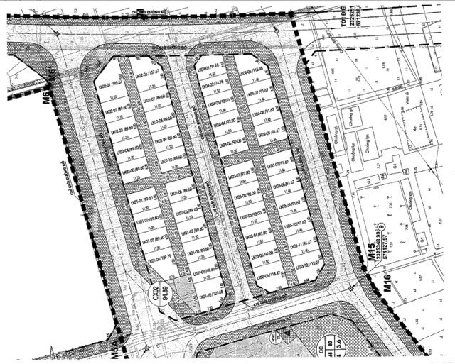 Vente aux enchères de terrains de nuit dans un quartier suburbain de Hanoi, le lot le plus élevé payé 133,3 millions de VND/m2 photo 4