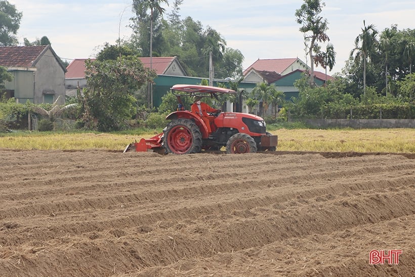 Ha Tinh inicia la producción de cultivos de invierno en 2023