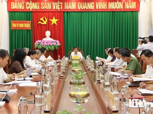 Ban Thường vụ Tỉnh ủy triển khai nhiệm vụ 6 tháng cuối năm