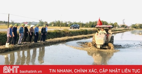 Tranh thủ thời điểm “vàng”, đồng loạt tích tụ ruộng đất