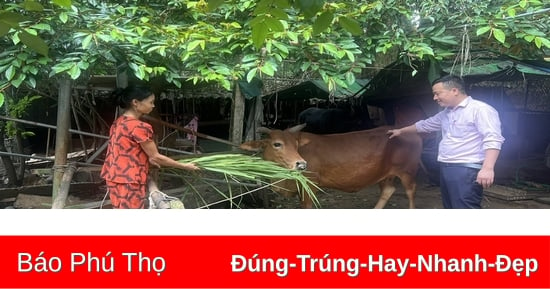 Vượt khó thoát nghèo