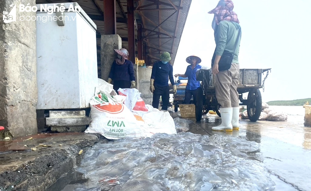 Startled by 'witnessing' pollution at Lach Van fishing port (Dien Chau)