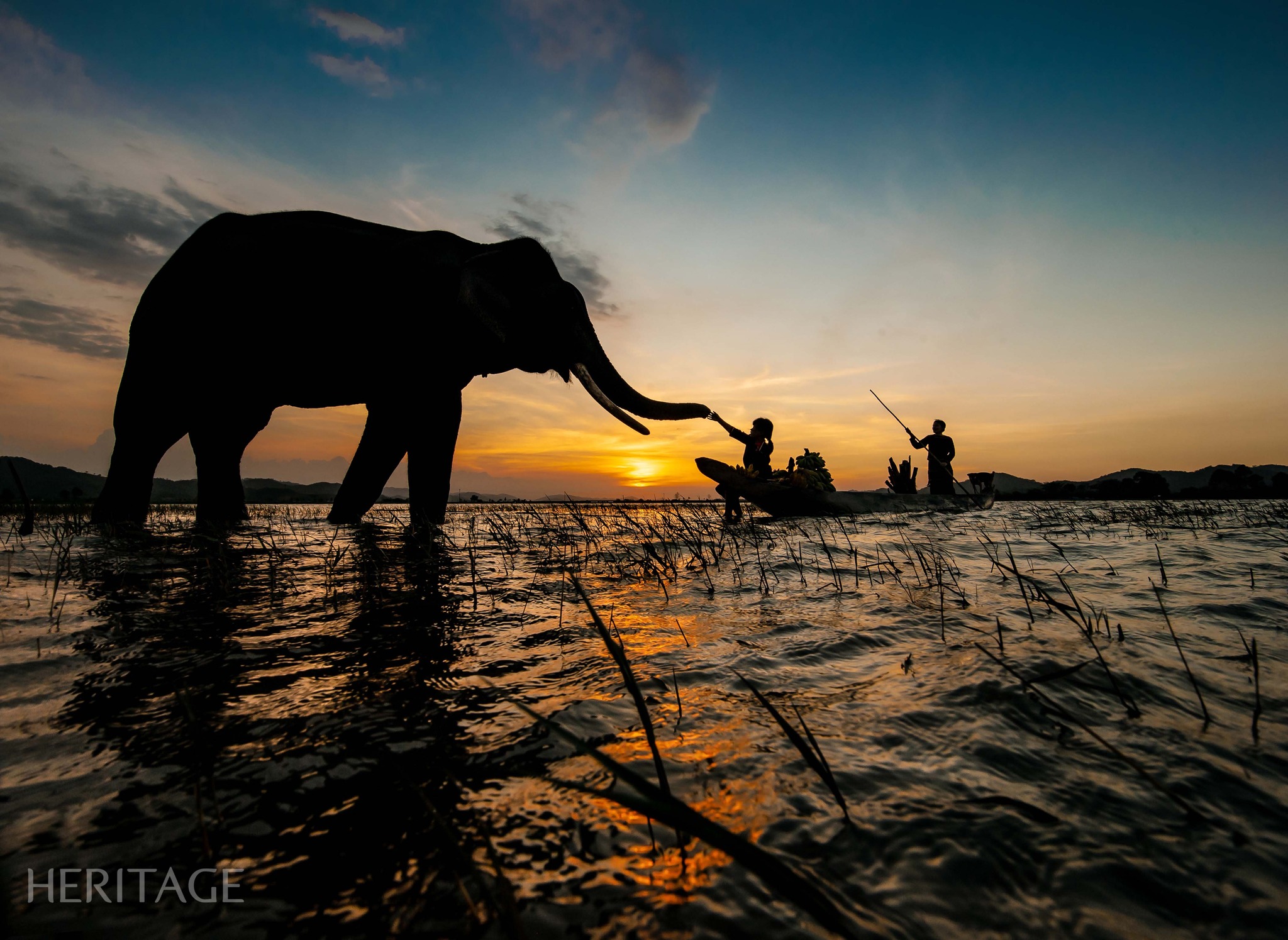 It could be an image of 3 people, an elephant and text.