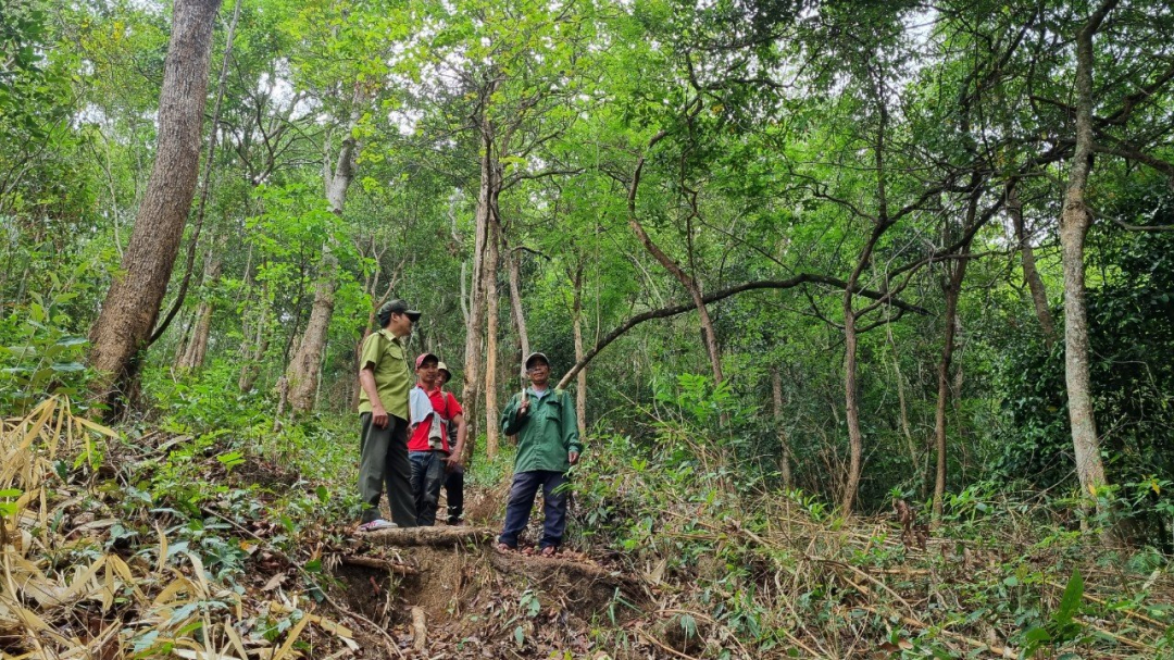 នៅពេលដែលឥណទានកាបូនគឺជាប្រាក់ពិតប្រាកដ