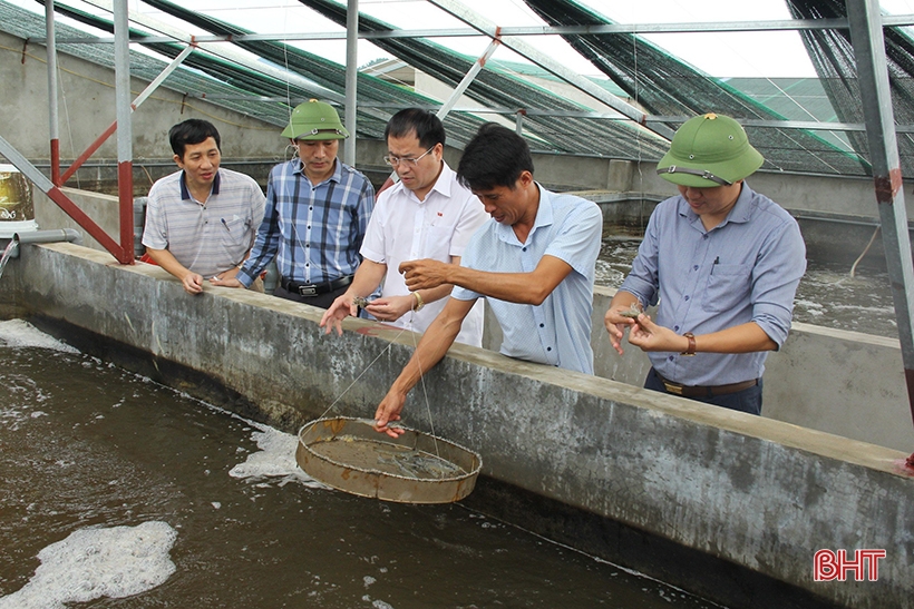 Thủ tướng Chính phủ công nhận huyện Lộc Hà đạt chuẩn nông thôn mới