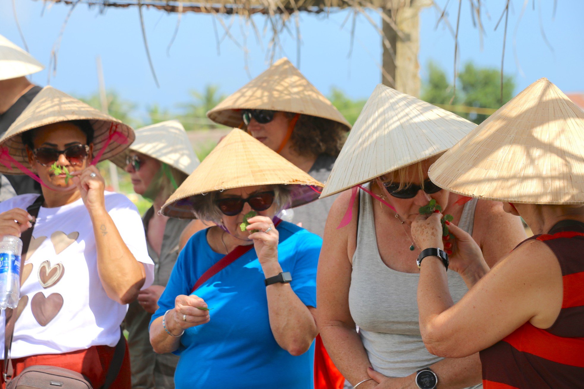 តើ​ស្លឹក​ឈើ​តូច​ៗ​នៅ​ទីក្រុង Hoi An ធ្វើ​ឱ្យ​ភ្ញៀវ​ទេសចរ​លោក​ខាង​លិច​ស្រក់​ទឹក​ភ្នែក​យ៉ាង​ណា? រូបថត 4