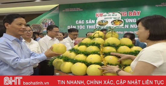 Đưa đặc sản miền núi Hà Tĩnh đến gần hơn với người tiêu dùng