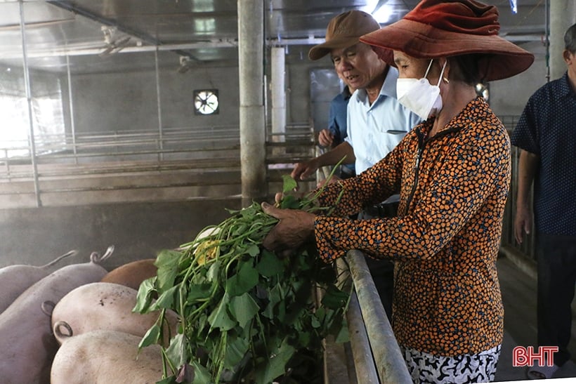 Grupo Guilin: por una agricultura circular y en desarrollo