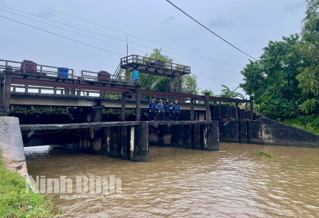 Focus on flood control to protect rice and crops after storm No. 3