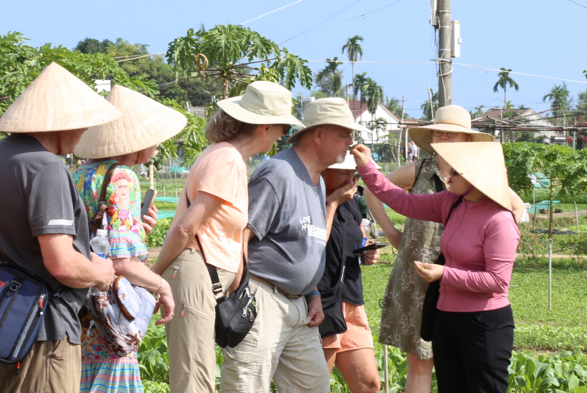 តើ​ស្លឹក​ឈើ​តូច​ៗ​នៅ​ទីក្រុង Hoi An ធ្វើ​ឱ្យ​ភ្ញៀវ​ទេសចរ​លោក​ខាង​លិច​ស្រក់​ទឹក​ភ្នែក​យ៉ាង​ណា? រូបថត 5
